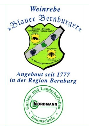 Blauer Bernburger Etikettr&uuml;ckseite 2006